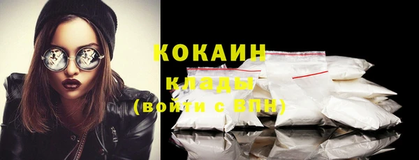 индика Чекалин