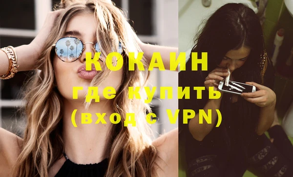 индика Чекалин